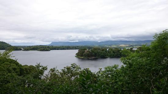 Dooney Rock Forest Park